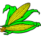 Dibujo Mazorca de maíz pintado por almagiopliuy