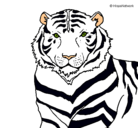 Dibujo Tigre pintado por  blanco