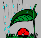 Dibujo Mariquita protegida de la lluvia pintado por patriciqa