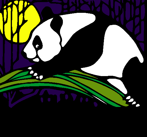 Dibujo Oso panda comiendo pintado por 13miguel