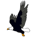 Dibujo Águila volando pintado por balta