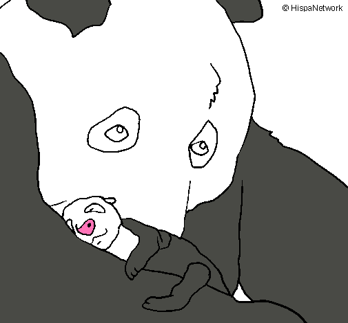 Oso panda con su cria