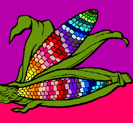 Dibujo Mazorca de maíz pintado por Cristina-M