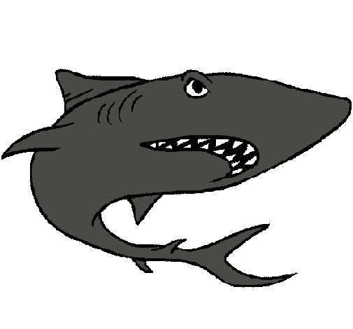 Dibujo Tiburón pintado por 13miguel