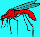 Dibujo Mosquito pintado por moretti