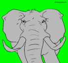 Dibujo Elefante africano pintado por 040407