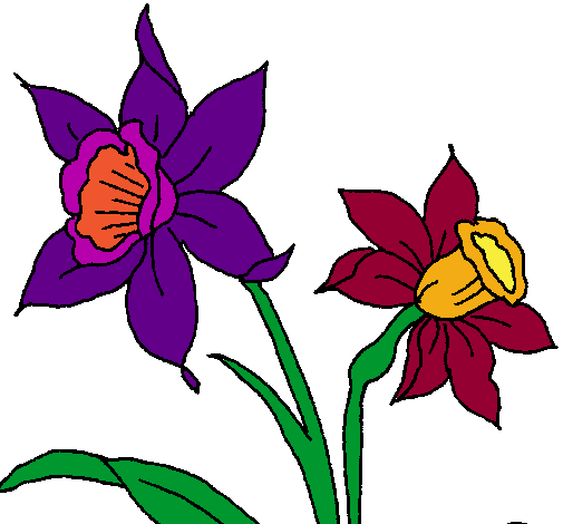 Dibujo Orquídea pintado por patriciatrinida