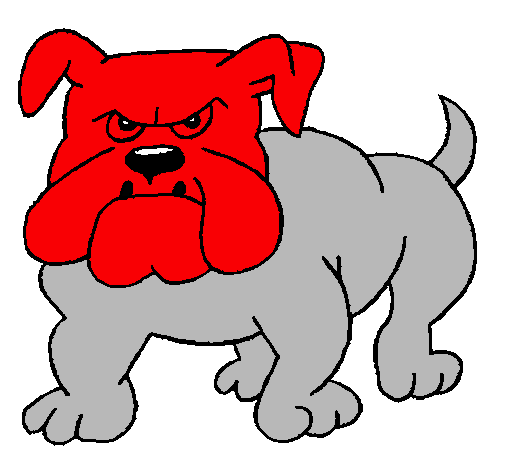 Perro Bulldog