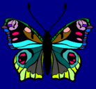 Dibujo Mariposa  pintado por anette123
