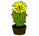Dibujo Cactus con flor pintado por LOURDESJR