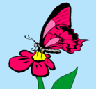 Dibujo Mariposa en una flor pintado por saltinbanki