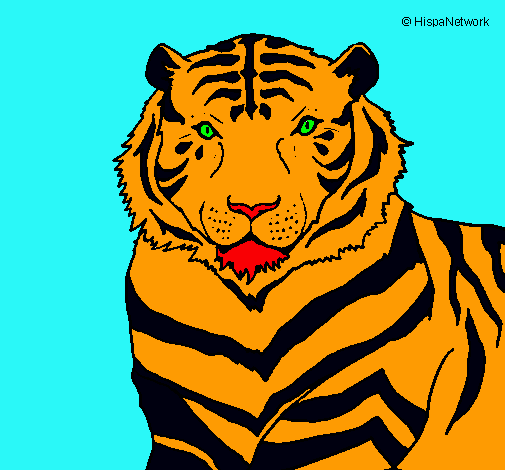 Dibujo Tigre pintado por abygail