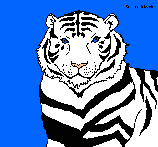 Dibujo Tigre pintado por ternu