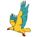 Dibujo Águila volando pintado por gicel