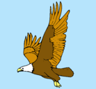 Dibujo Águila volando pintado por ErSuso
