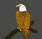 Dibujo Águila en una rama pintado por ErSuso