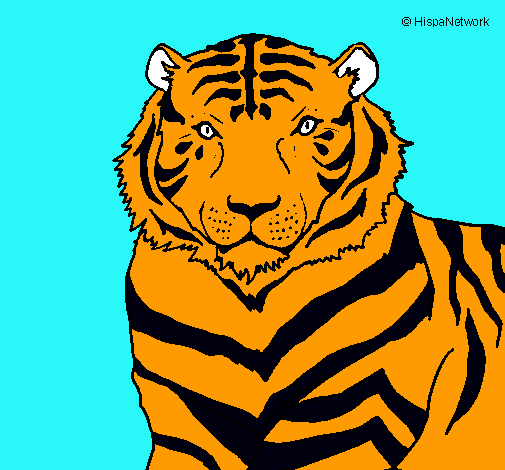 Dibujo Tigre pintado por johan3121