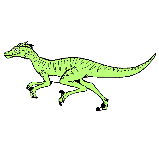 Dibujo Velociraptor pintado por MATEORN