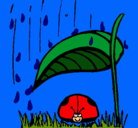 Dibujo Mariquita protegida de la lluvia pintado por Nekona
