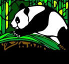 Dibujo Oso panda comiendo pintado por Ana1234865