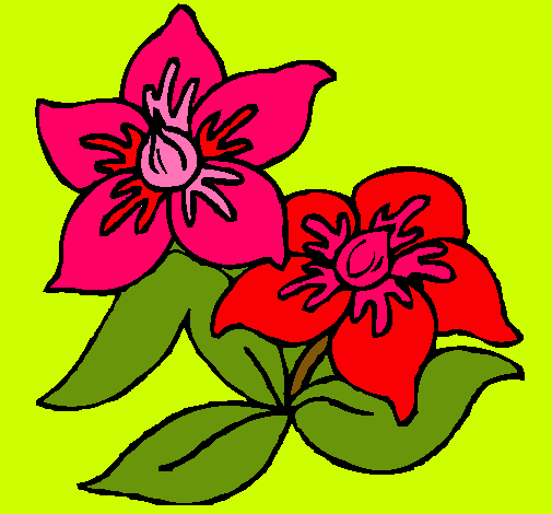 Dibujo Flores pintado por ailyn