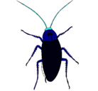 Dibujo Cucaracha grande pintado por zarish