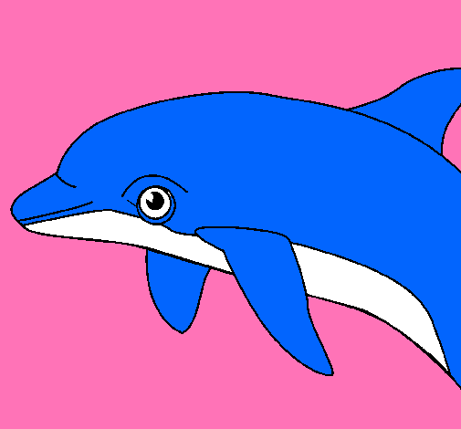 Dibujo Delfín pintado por friss