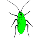 Dibujo Cucaracha grande pintado por poiltyes