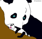 Dibujo Oso panda con su cria pintado por maiaparis