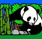 Dibujo Oso panda y bambú pintado por Cail0123
