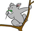 Dibujo Koala pintado por estephanie