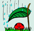 Dibujo Mariquita protegida de la lluvia pintado por daiker