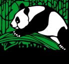 Dibujo Oso panda comiendo pintado por chupes
