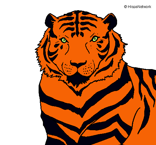 Dibujo Tigre pintado por Jorgeandres