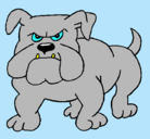 Dibujo Perro Bulldog pintado por DEWE