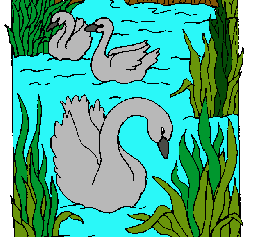 Dibujo Cisnes pintado por tururu253