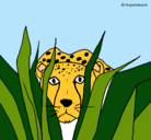 Dibujo Guepardo pintado por leopard