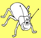 Dibujo Cucaracha pintado por antojo