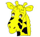 Dibujo Cara de jirafa pintado por yuoto
