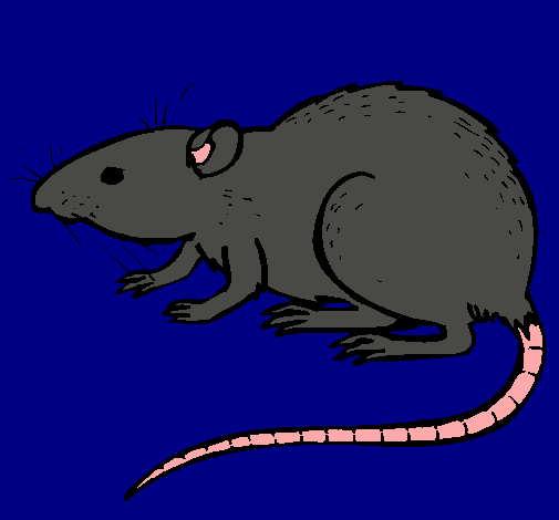 Dibujo Rata subterráena pintado por ternu