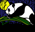 Dibujo Oso panda comiendo pintado por macalobo