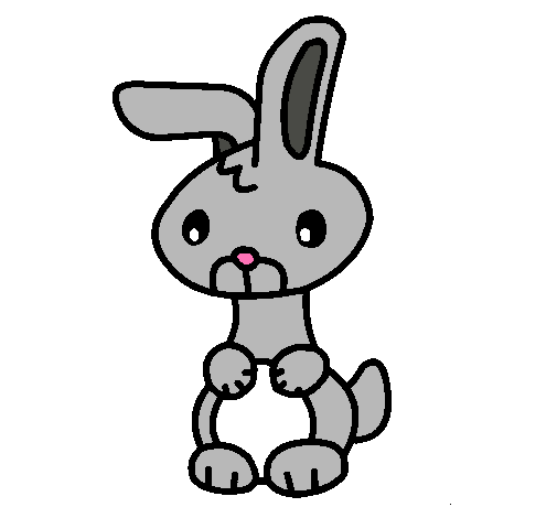 Conejo dibujo a color - Imagui