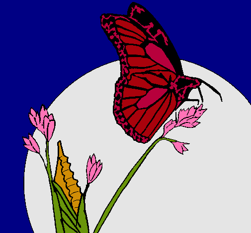 Dibujo Mariposa en una rama pintado por Saara07