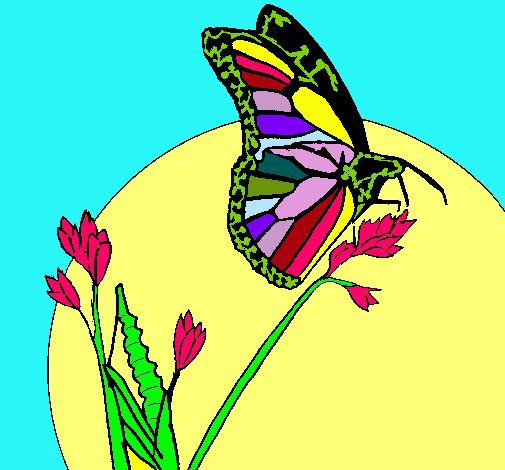 Dibujo Mariposa en una rama pintado por Miry9-4