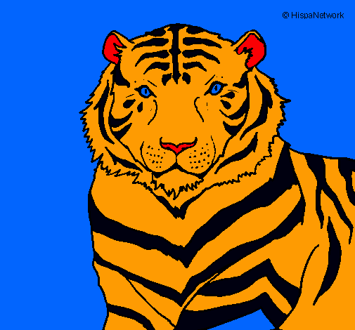 Dibujo Tigre pintado por javinom