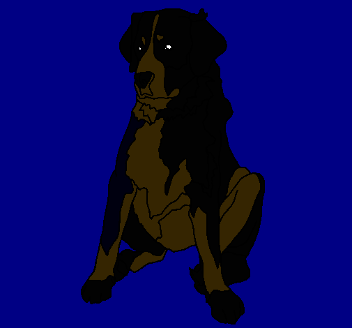 Dibujo Labrador pintado por ternu