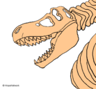 Dibujo Esqueleto tiranosaurio rex pintado por andrus100