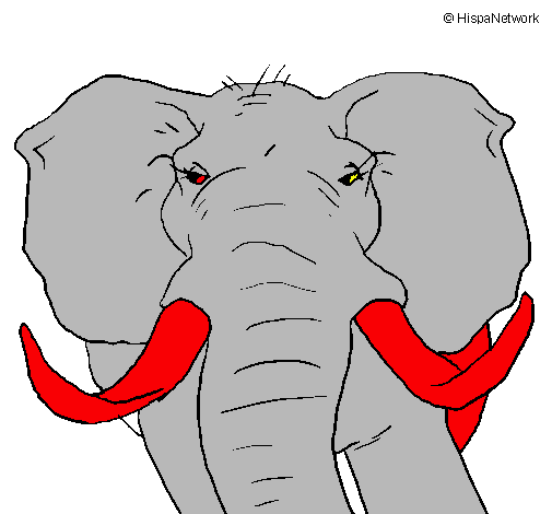 Dibujo Elefante africano pintado por Diegogo