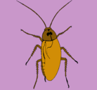 Dibujo Cucaracha grande pintado por DESCHI