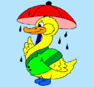 Dibujo Pato bajo la lluvia pintado por avatar